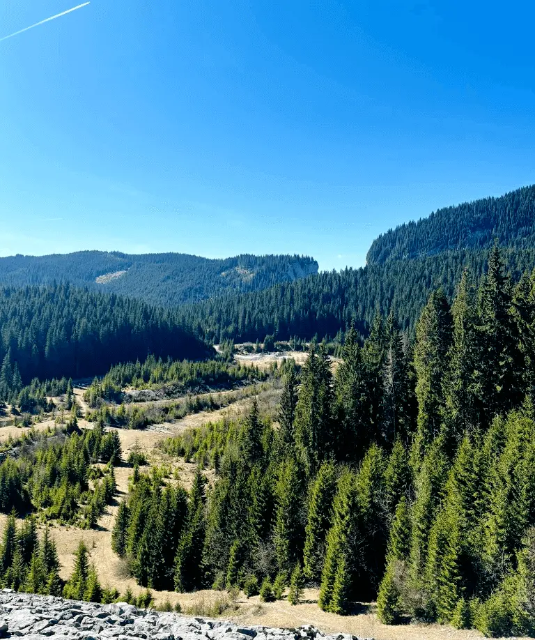 excursie-pestera-ialomitei