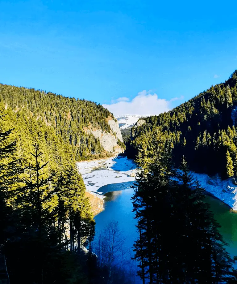 lac-bolboci
