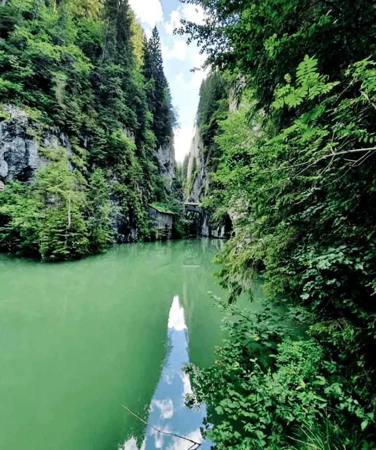 lac-scropoasa-2