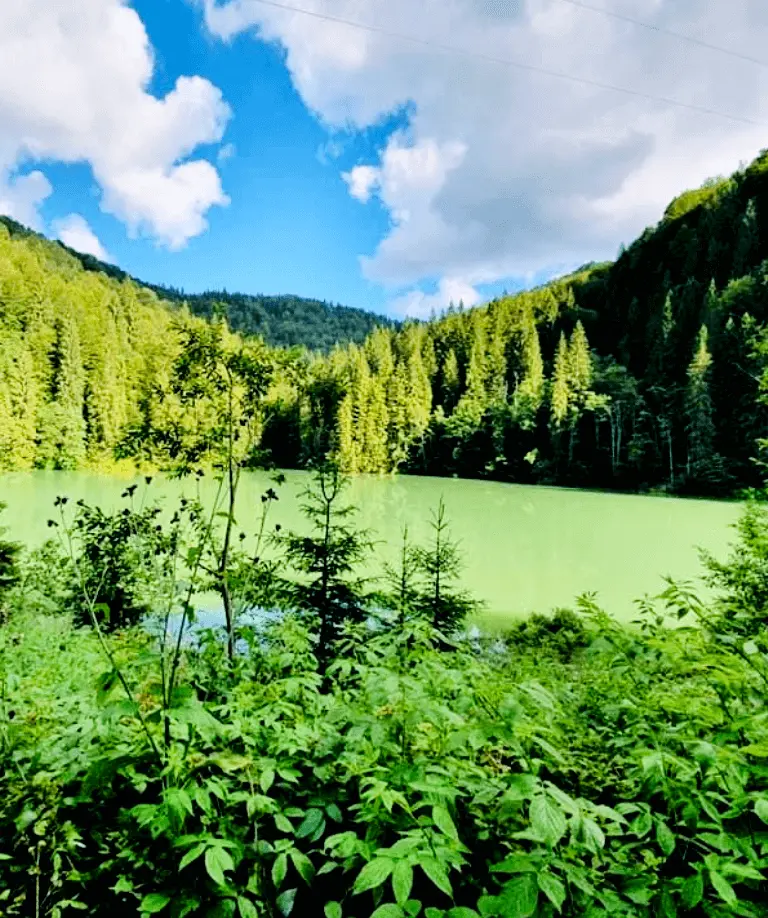 lac-scropoasa