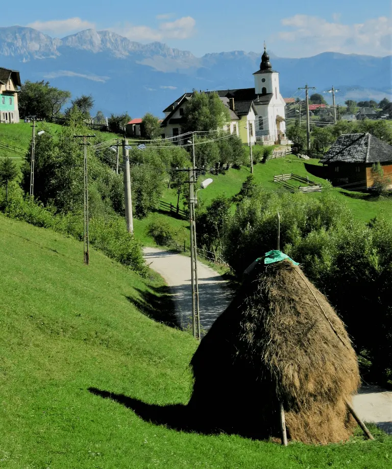 peisaj-excursie-prapastiile-zarnestiului-3