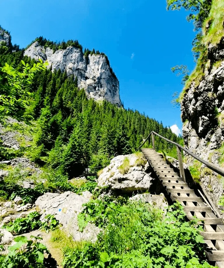 peisaj-excursie-scropoasa
